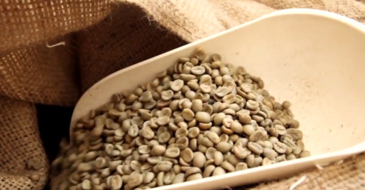 Przygotowywanie kawy do Coffee Stout z Kormorana [VIDEO]
