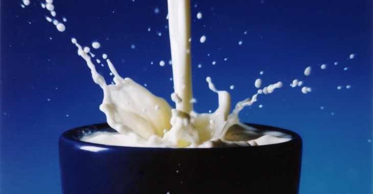 Największy producent mleka w Polsce wyprodukował w 2015 r. 594 mln litrów - 20% całej polskiej produkcji