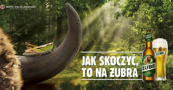 Jak skoczyć, to na Żubra – nowy spot oraz letnia aktywacja marki 