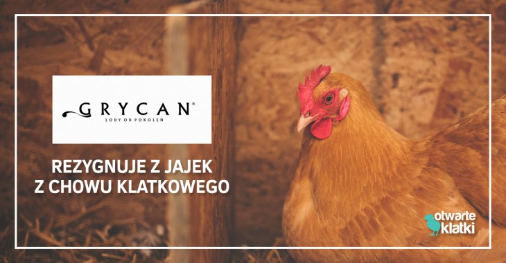 Grycan wycofuje z użycia jajka klatkowe