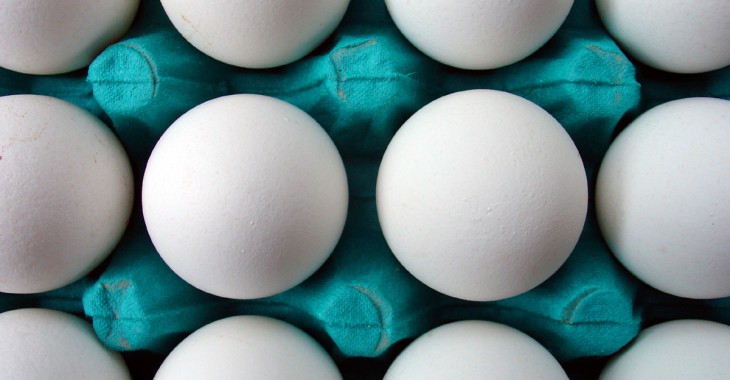 Czy Starbucks przestanie używać jaja z chowu klatkowego?
