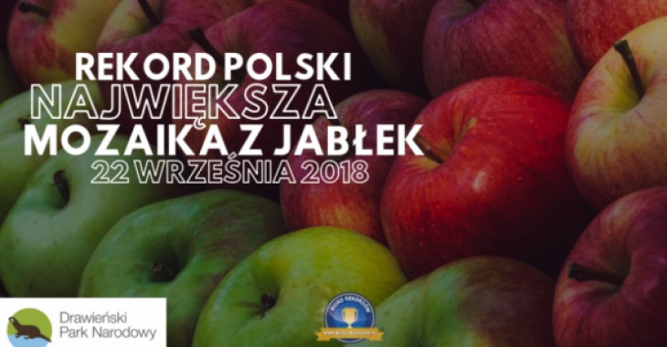 W Drawieńskim Parku Narodowym będą bić Rekord Polski z okazji Święta Jabłka
