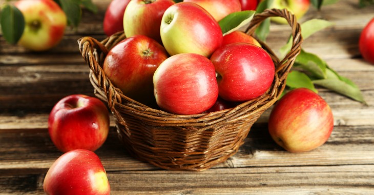 Klęska urodzaju szkodzi sadownikom. Rząd skupi z rynku pół miliona ton jabłek