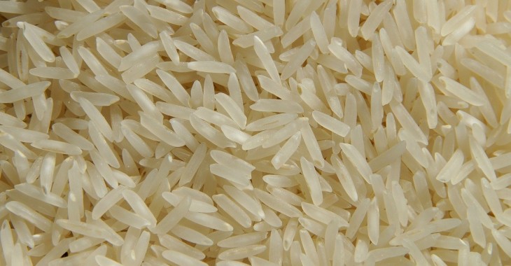 Mniejsze prognozy zbiorów ryżu