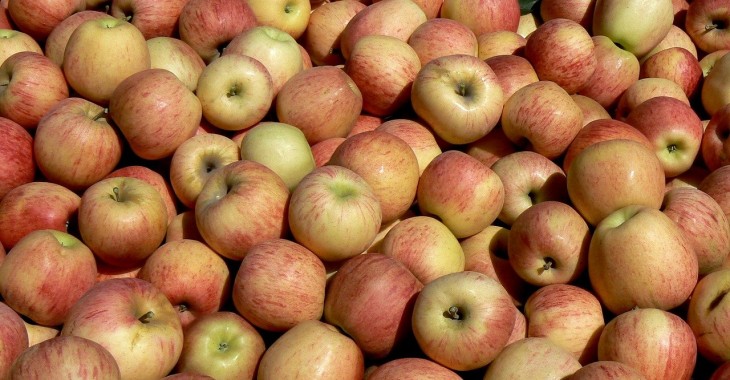 Wzrost produkcji unijnych jabłek