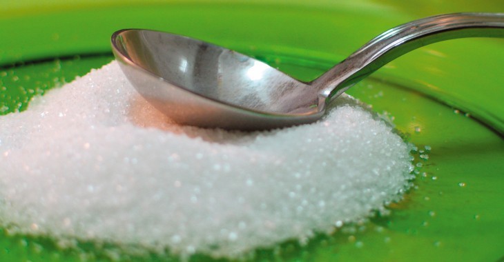 „Cukier, otyłość – konsekwencje” – prezentacja raportu