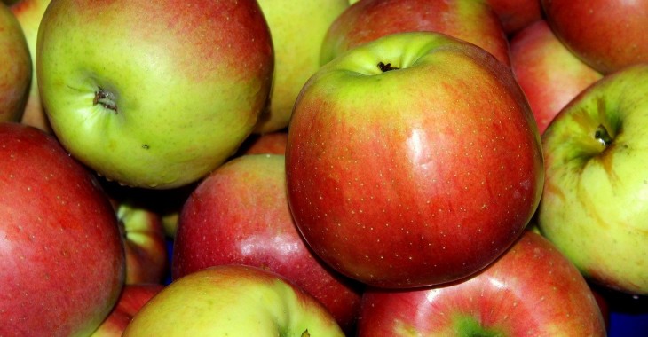 Produkcja jabłek w Rosji osiągnie 1,5 miliona ton