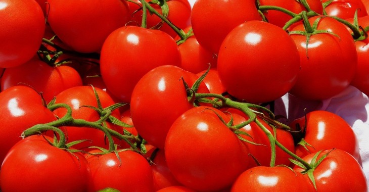 Wzrost tureckiego eksportu pomidorów, mandarynek i cytryn do Rosji