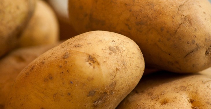 Niedobór wilgoci w glebie i susza przyczyną wzrostu cen ziemniaków