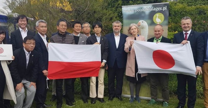 Na Kujawach o polskiej białej gęsi