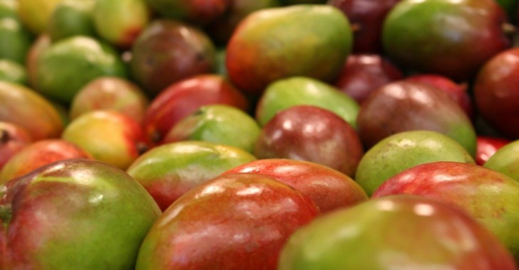 FAO przewiduje silny wzrost handlu owocami tropikalnymi