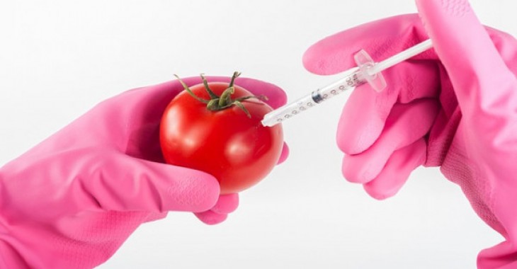 GMO - z czym to się je?