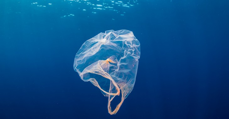 MIKROplastik, MAKRO zagrożenie