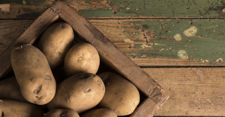 Irlandia: Opady deszczu nadal powodują problemy przy zbiorach ziemniaków