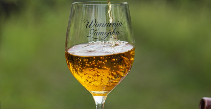 Winiarnia Zamojska - nowa marka polskich win