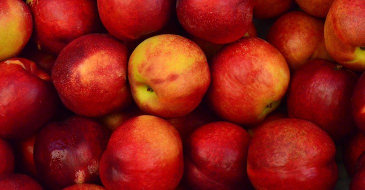 Norwegia: Jabłka dojrzewają w rekordowym czasie