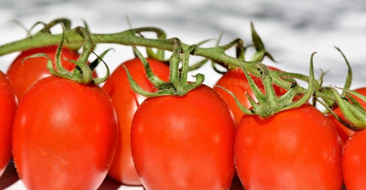 Ostry spadek cen polskich pomidorów szklarniowych