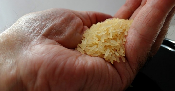 Wzrost światowej produkcji ryżu