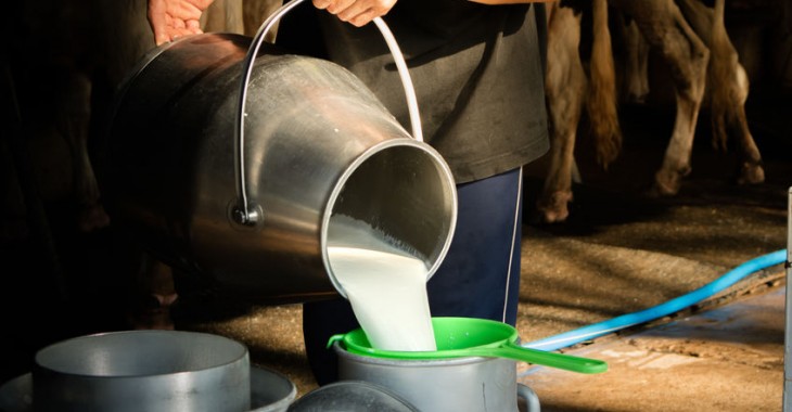 Polska i europejska branża mleczarska odczuwa skutki koronawirusa. Eksporterzy muszą szukać nowych rynków zbytu