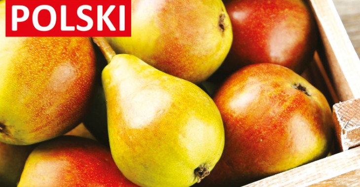 LIDL POLSKA ŚWIĘTUJE DZIEŃ POLSKIEJ ŻYWNOŚCI