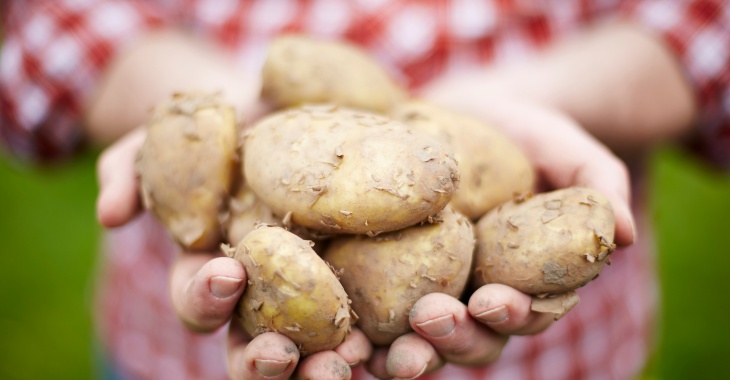 Gotowane, pieczone czy smażone?  Sprawdź, które metody przygotowania ziemniaków będą dla Ciebie najlepsze
